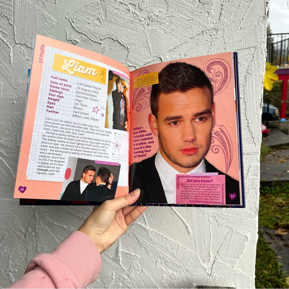 One Direction Book with 3D Pages! - Picture 5 of 6